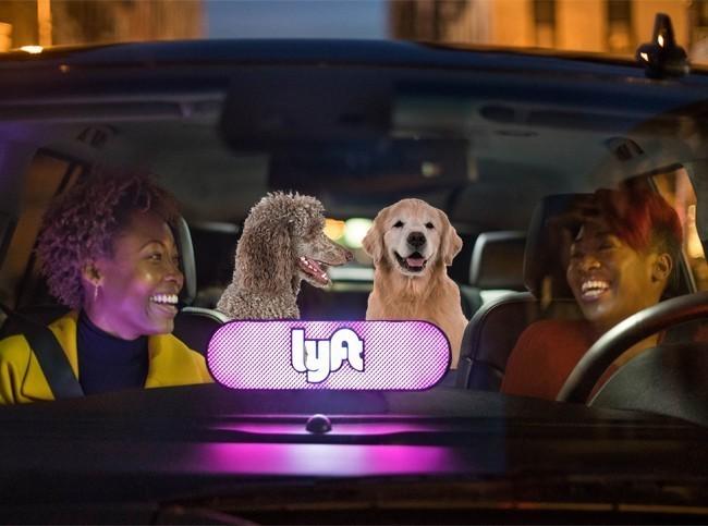 Lyft is developing a 'service animal opt-in feature' for passengers.