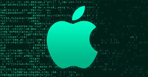 The DOJ describes Apple's privacy justifications as an 'elastic shield' aimed at financial gains.