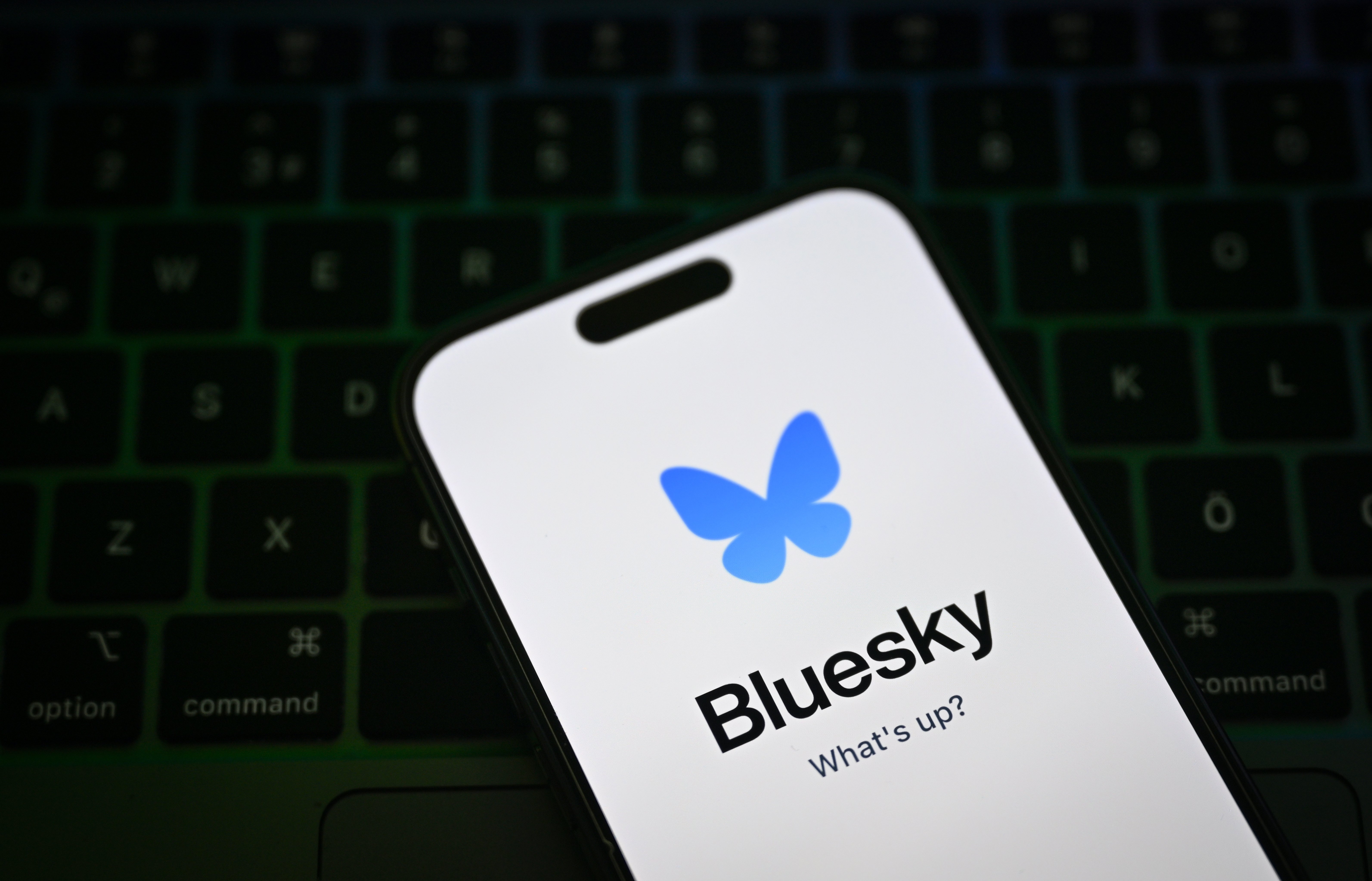 Bluesky is gaining traction following the changes to blocking on X.