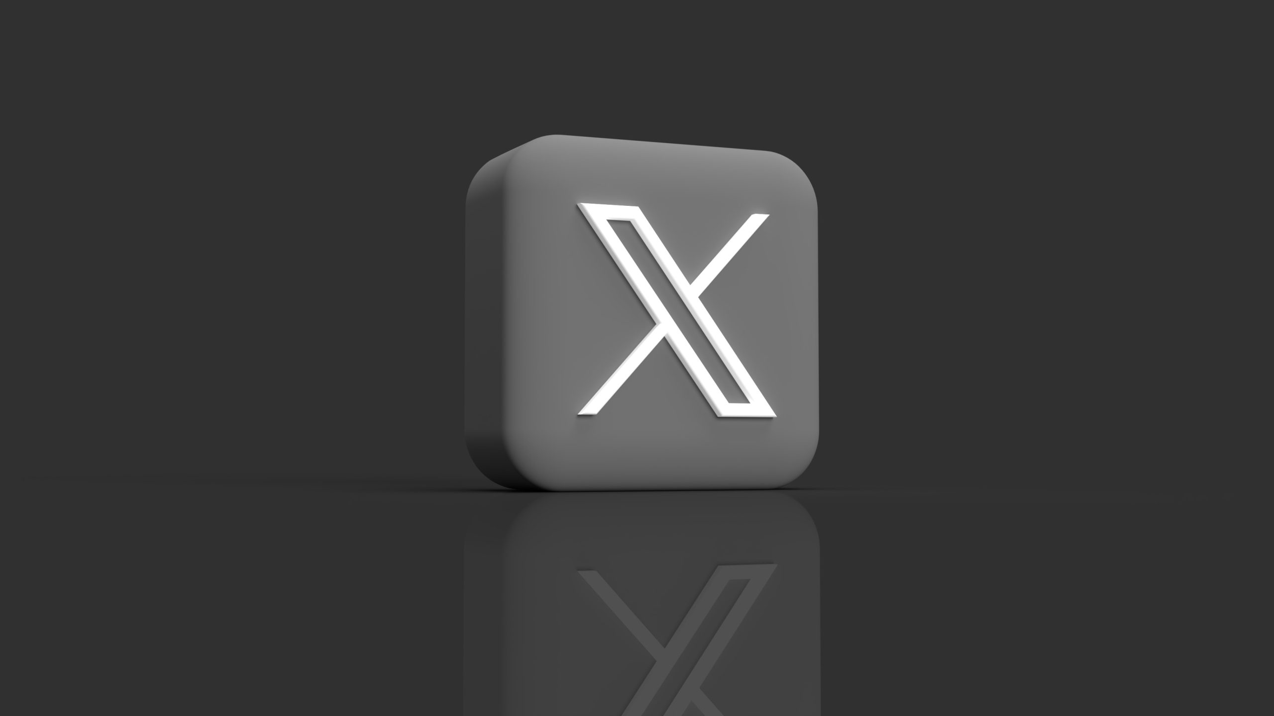 X Introduces Updated Privacy Policy Details on Biometric Data, Employment History, and AI Model Training