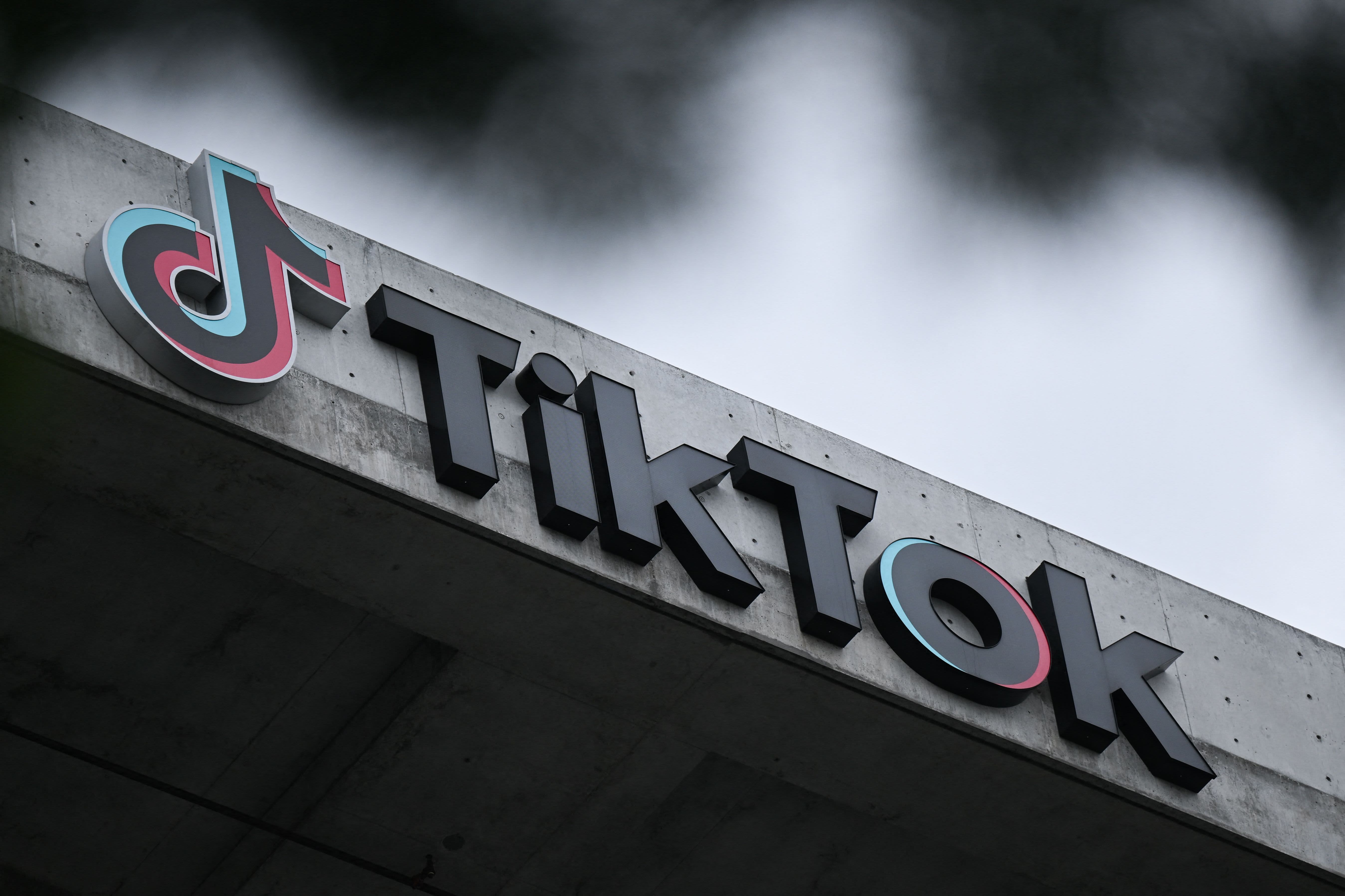 TikTok advances to the next phase of its efforts to prevent a ban in the US.